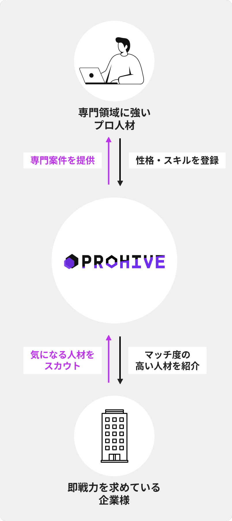 Biz Model Image Mobile